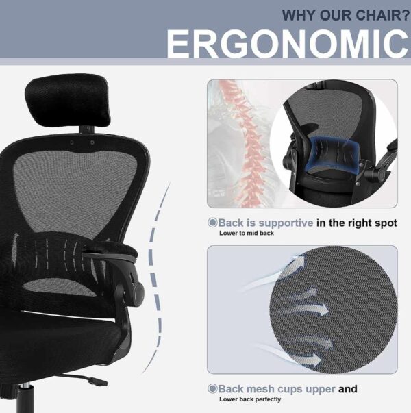 Office Chair Ergonomic Desk Chair Comfort Adjustable Height with Wheels，Lumbar Support Mesh Swivel Computer Home Office Study Task Chair - immagine 2